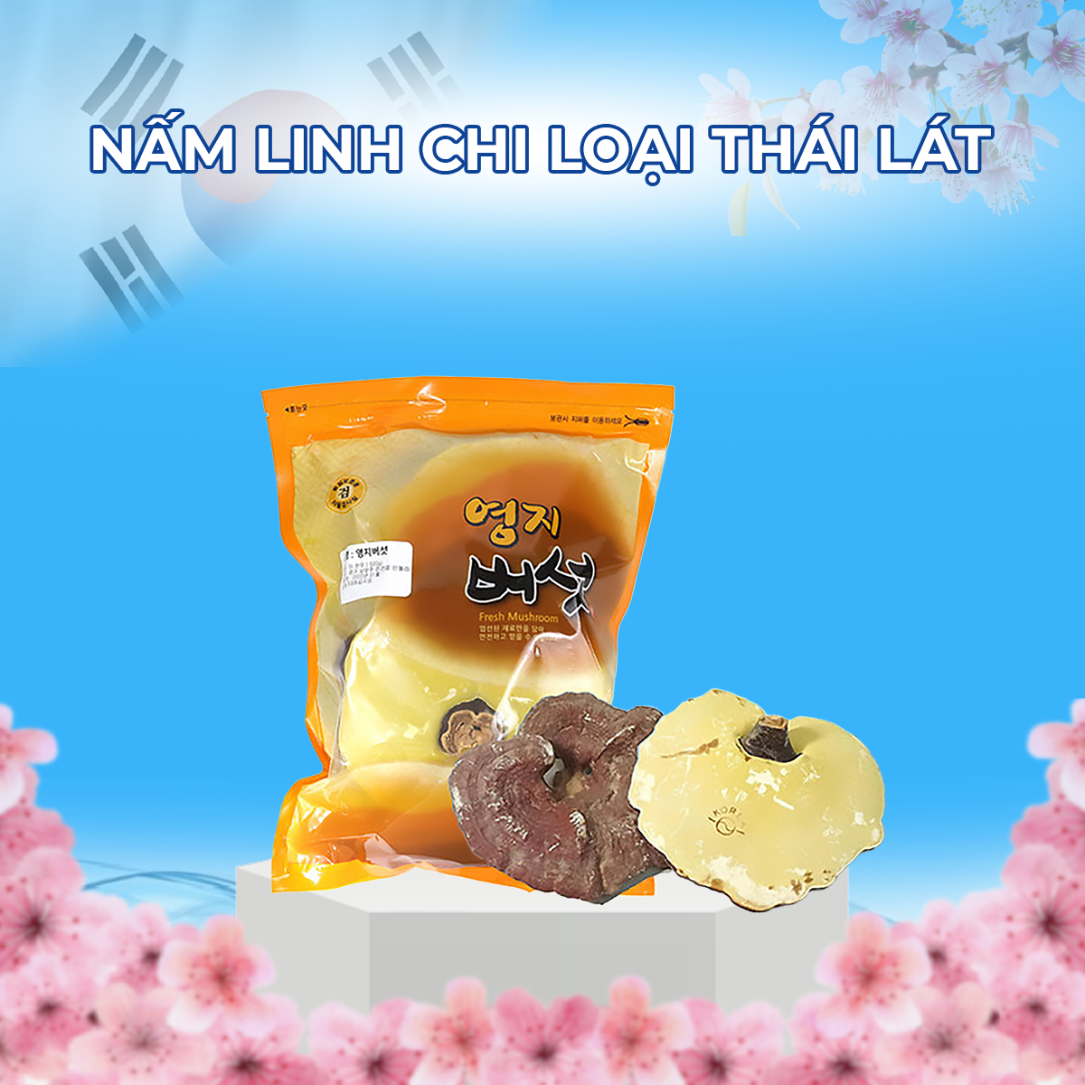 nam-linh-chi-loai-thai-lat-mla