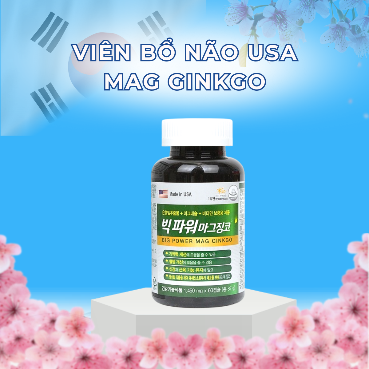 vien-bo-nao-usa-mag-ginkgo-mla