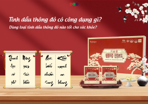 Tinh dầu thông đỏ có công dụng gì? Loại tinh dầu thông đỏ nào tốt cho sức khỏe?